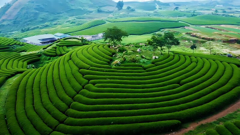 Hà Nội | Tour 2N1Đ | Hà Nội - Mai Châu - Mộc Châu - Cầu Kính Bạch Long