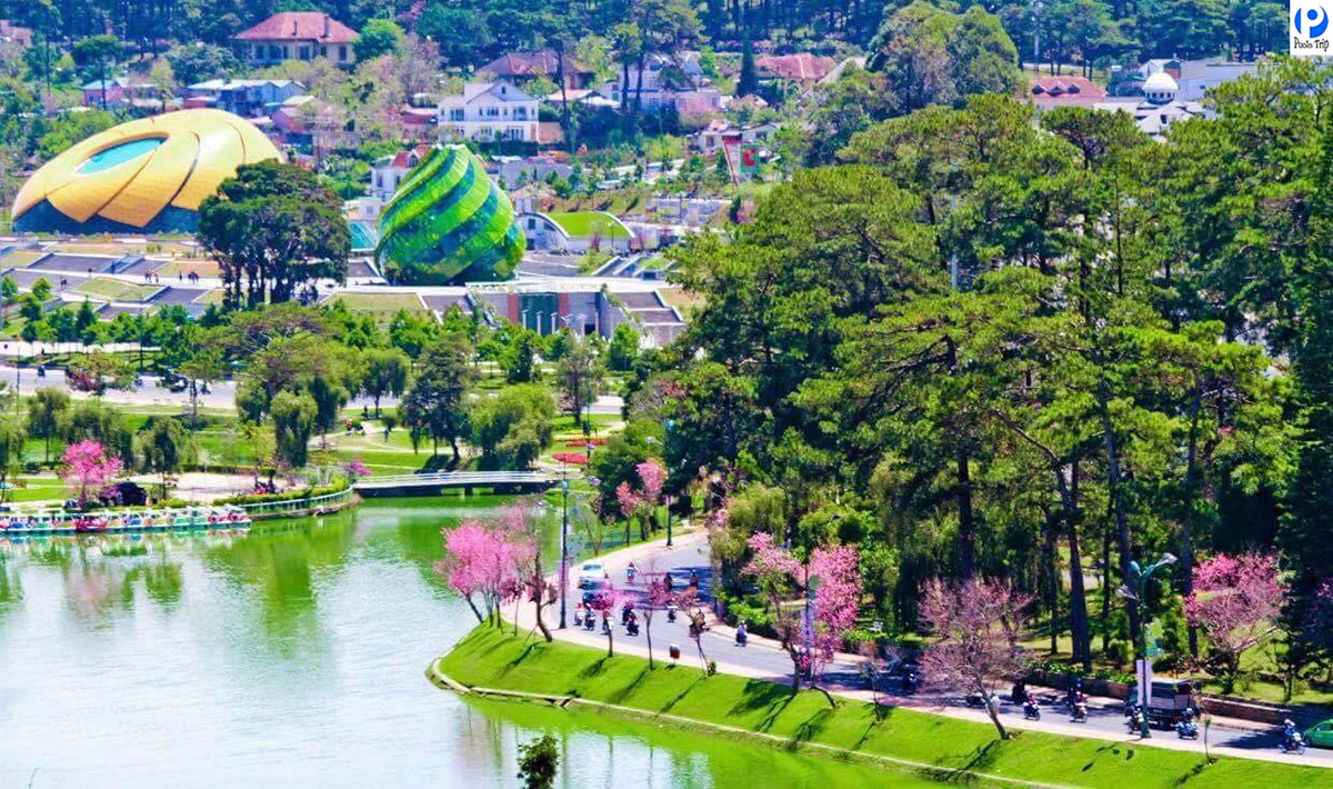 TOUR 4N3Đ | HÀ NỘI - ĐÀ LẠT - BẢO LỘC - HÀ NỘI