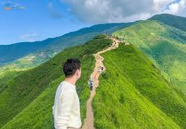 TOUR 2N1Đ| HÀ NỘI - MỘC CHÂU - SĂN MÂY TÀ XÙA