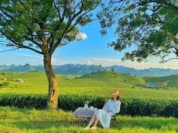 TOUR 2N1Đ| HÀ NỘI - MAI CHÂU - MỘC CHÂU - CẦU KÍNH BẠCH LONG