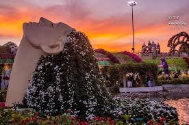 TOUR 6N5Đ|HÀ NỘI - DUBAI – MIRACLE GARDEN - ABU DHABI|KHÁM PHÁ CÁC TIỂU VƯƠNG QUỐC Ả RẬP HUYỀN BÍ