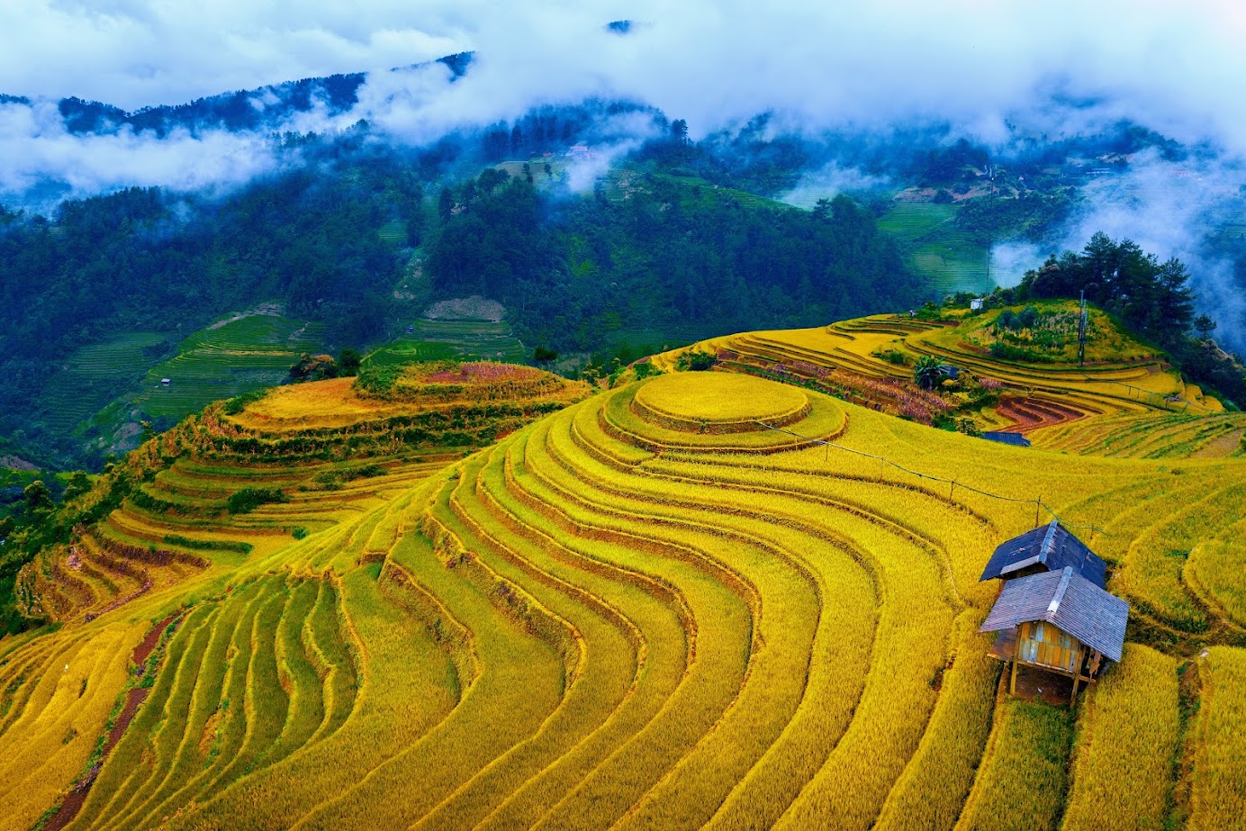 TOUR 2N1Đ MÙ CANG CHẢI - ĐÈO KHAU PHẠ - TÚ LỆ