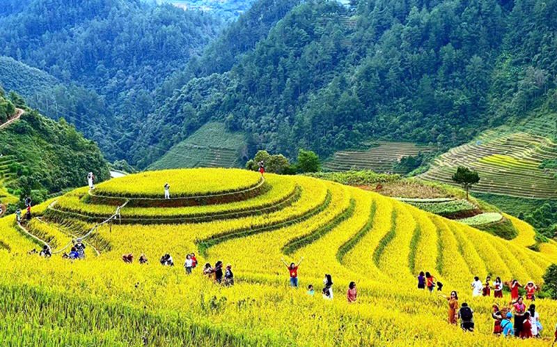 TOUR 2N1Đ MÙ CANG CHẢI - ĐÈO KHAU PHẠ - TÚ LỆ