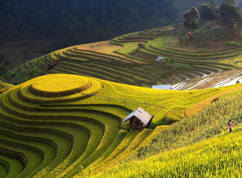 TOUR 3N2Đ HÀ NỘI - HÀ GIANG - CAO NGUYÊN ĐÁ - HÀ NỘI