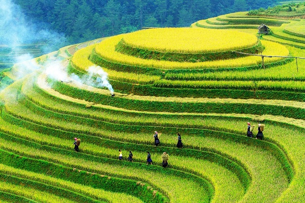 TOUR 5N4Đ | HÀ NỘI - MÙ CANG CHẢI - SAPA - FANSIPAN LAI CHÂU - ĐIỆN BIÊN - MỘC CHÂU - MAI CHÂU - HÀ NỘI