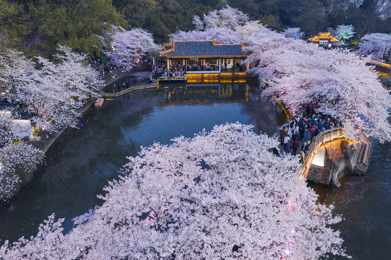Hà Nội I 6N5Đ I Hà Nội – Thượng Hải – Tô Châu – Vô Tích – Hàng Châu – Ô Trấn (Juneyao Airlines - Hàng không Cát Tường)