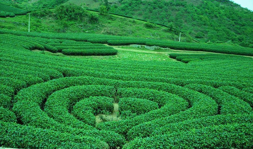 Hà Nội I 5N4Đ I Hà Nội – Sapa – Lai Châu – Điện Biên – Mộc Châu – Mai Châu