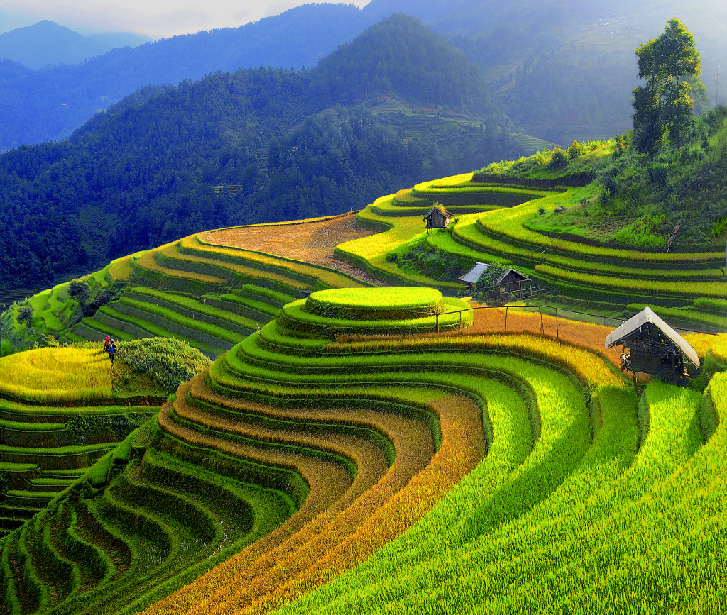 Hà Nội I 2N1Đ I Hà Nội - Mù Cang Chải - Đèo Khau Phạ - Tú Lệ