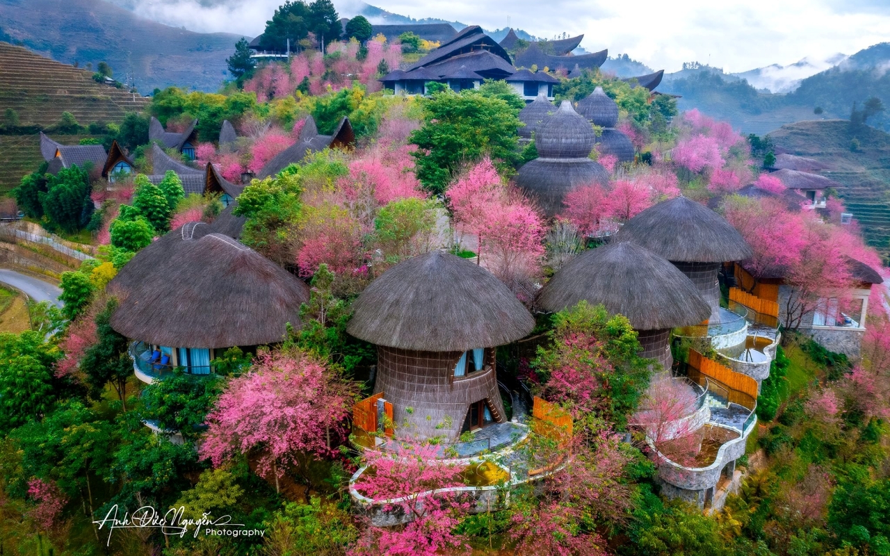 Hà Nội I 3N2Đ I Hà Nội - Mù Cang Chải - Đèo Khau Phạ - Tú Lệ - Trạm Tấu