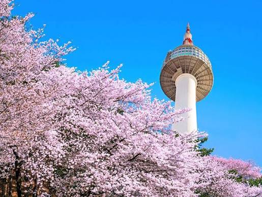 Tour 4N4D| TP.HCM - NAMI ISLAND - TRƯỢT TUYẾT - LOTTE WORLD - HÁI TRÁI CÂY ( Bay Vietjet Air)