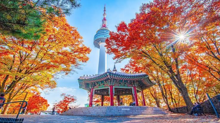 Tour 6N5D| HÀ NỘI - BUSAN - JEONJU - SEOUL - TRƯỢT TUYẾT ELYSIAN - HÁI DÂU TÂY - HÀ NỘI ( Bay Vietnam Airlines )