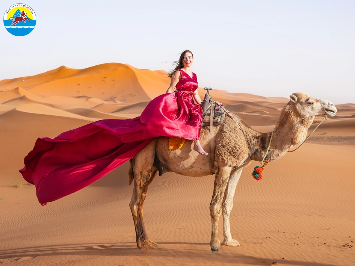 Tour 9N8D| HÀ NỘI - CASABLANCA - RABAT - CHEFCHAOUEN - FEZ - MERZOUGA - SA MẠC SAHARA - QUARZAZATE - MARRAKECH - HÀ NỘI ( Bay Turkish Airlines )